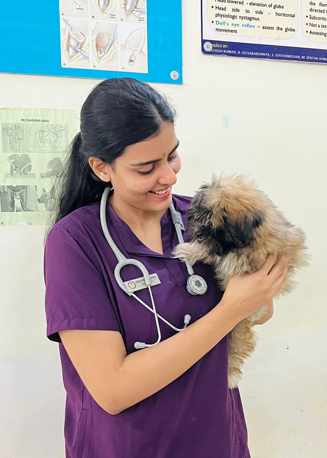 My Vet Journey logo - Deepika Dehru